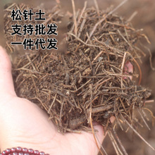 厂家批发代发松针土腐熟花肥君子兰兰花绿植通用型盆栽养花用有机