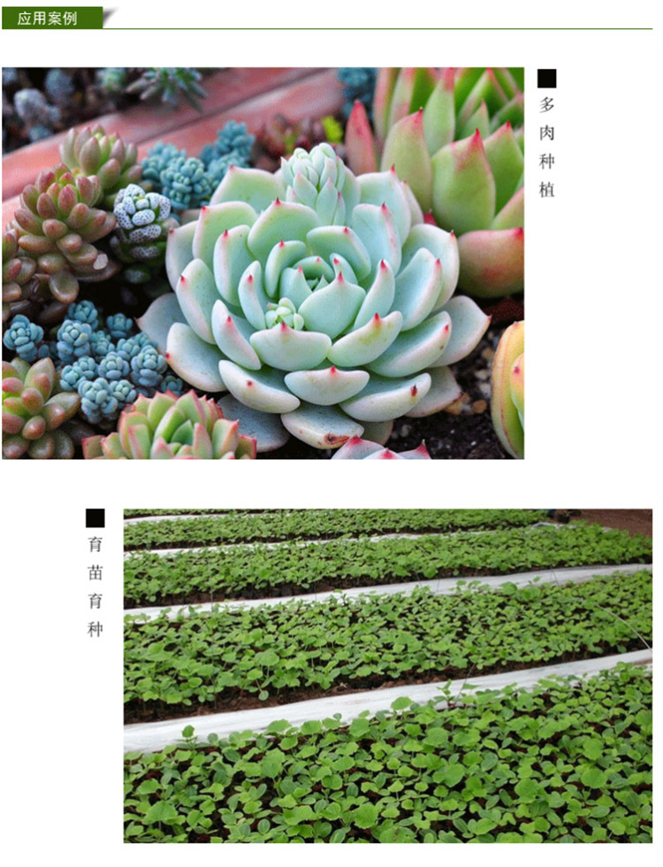 椰砖 营养土椰糠砖650克粗椰壳椰土种花种菜脱盐土壤多肉基质