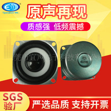 厂家供应52方型防磁白盘喇叭专业生 产音响扬声器配件