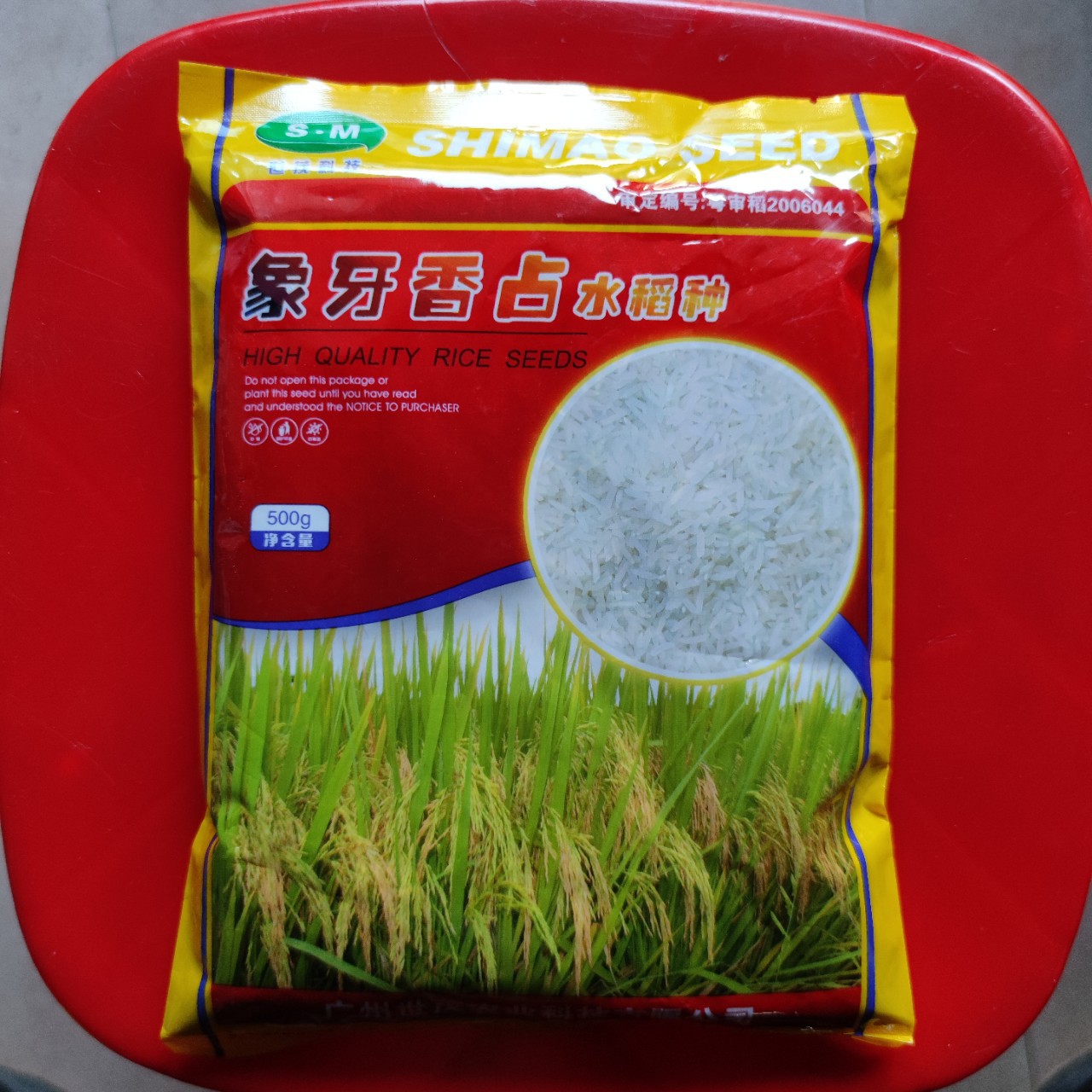 广州世茂 自象牙香占水稻种子500克原装香米型常规水稻品种