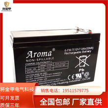 Aroma儿童电动童车蓄电池 电动玩具汽车 6-FM-10 (12V10Ah/20hR)