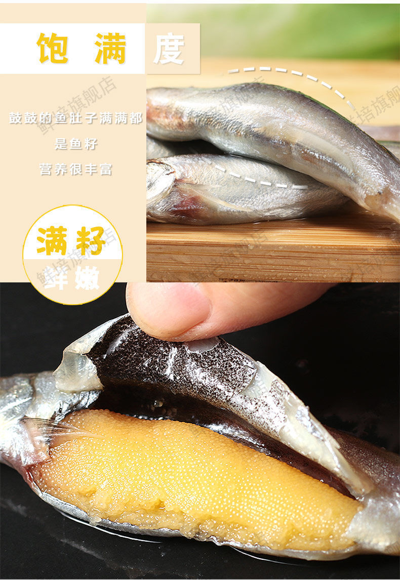 满籽多春鱼新鲜多籽鱼冷冻烧烤商用冰鲜特大带籽即食海鲜水产鱼籽