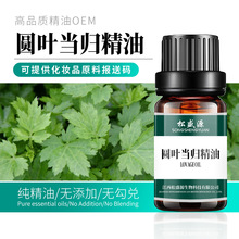 圆叶当归精油 欧当归油 厂家供应 现货单方精油 可提供原料报送码