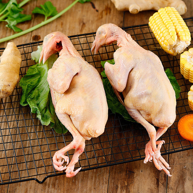 农家散养鸽子肉新鲜7两乳鸽3只/5只土鸽子现杀现发煲汤滋补肉鸽子