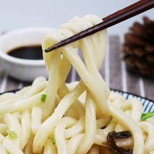 雷气日式手打生乌冬面低脂日本xo酱拌粗鲜面条整箱装商用干面