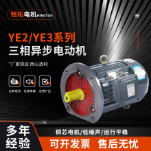 厂家批发2极YE3三相异步电动机0.75kw-315kw交流电机380V全铜马达