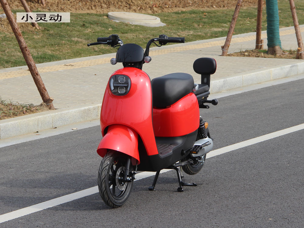 出口电动车48v电瓶车男女成人电动车智能电动车