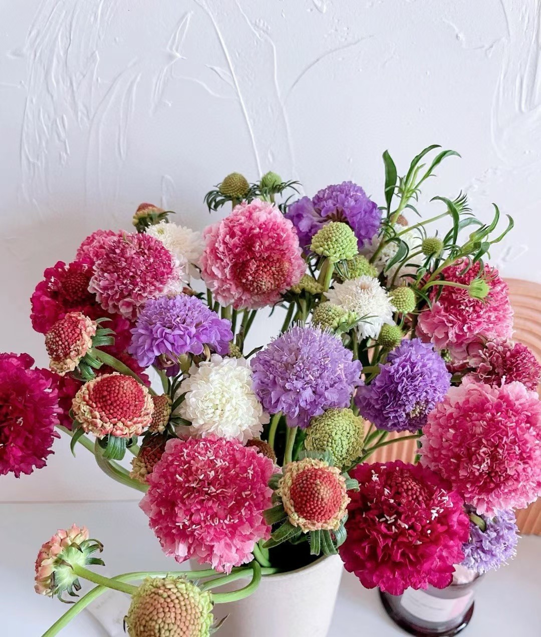 松虫草鲜切花云南鲜花批发基地直发直批产地直销红色各种色松虫草