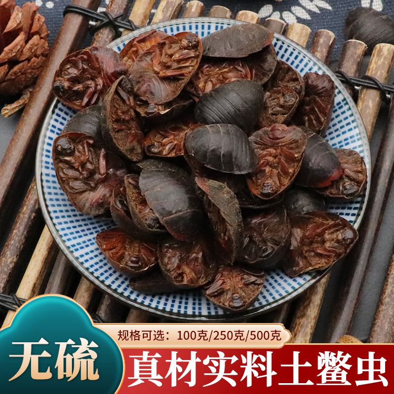 中药材土元虫土鳖虫地鳖虫蛰虫新鲜土元干土元土鳖土鳖