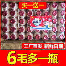 乳酸菌酸奶整箱益生菌风味饮料儿童优益c优酸乳批发迷你小瓶饮料
