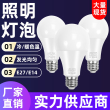 谦润照明LED灯泡3W家用照明球泡灯E27高亮塑包铝夜市地摊灯200v