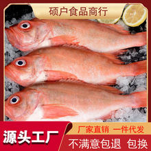 鲜冻红石斑鱼海捕龙胆鱼整条冷冻富贵鱼新鲜长寿鱼东星斑批发江苏