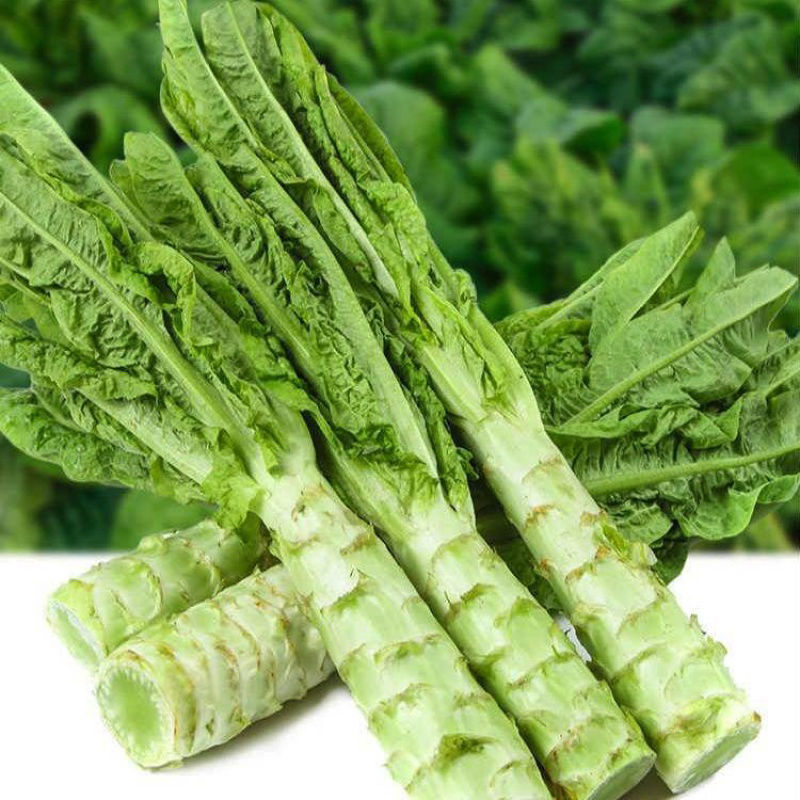 四川新鲜莴笋5斤净重应季农家自种蔬菜青笋莴苣时令5斤批发不带叶