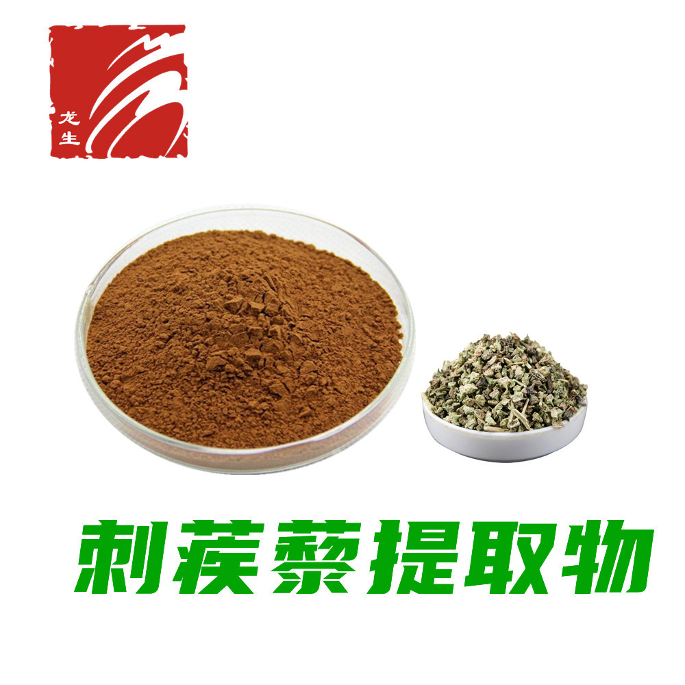 刺蒺藜提取物 刺蒺藜皂甙90% 源头工厂 现货供应 刺蒺藜粉