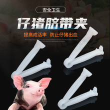 厂家批发 加厚一次性小猪用 仔猪脐带夹 猪设备 护脐带 脐带夹