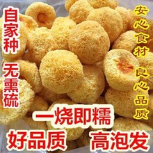 古田丑耳500g食用菌新鲜干货无硫出胶多精选整朵银耳散装厂家批发