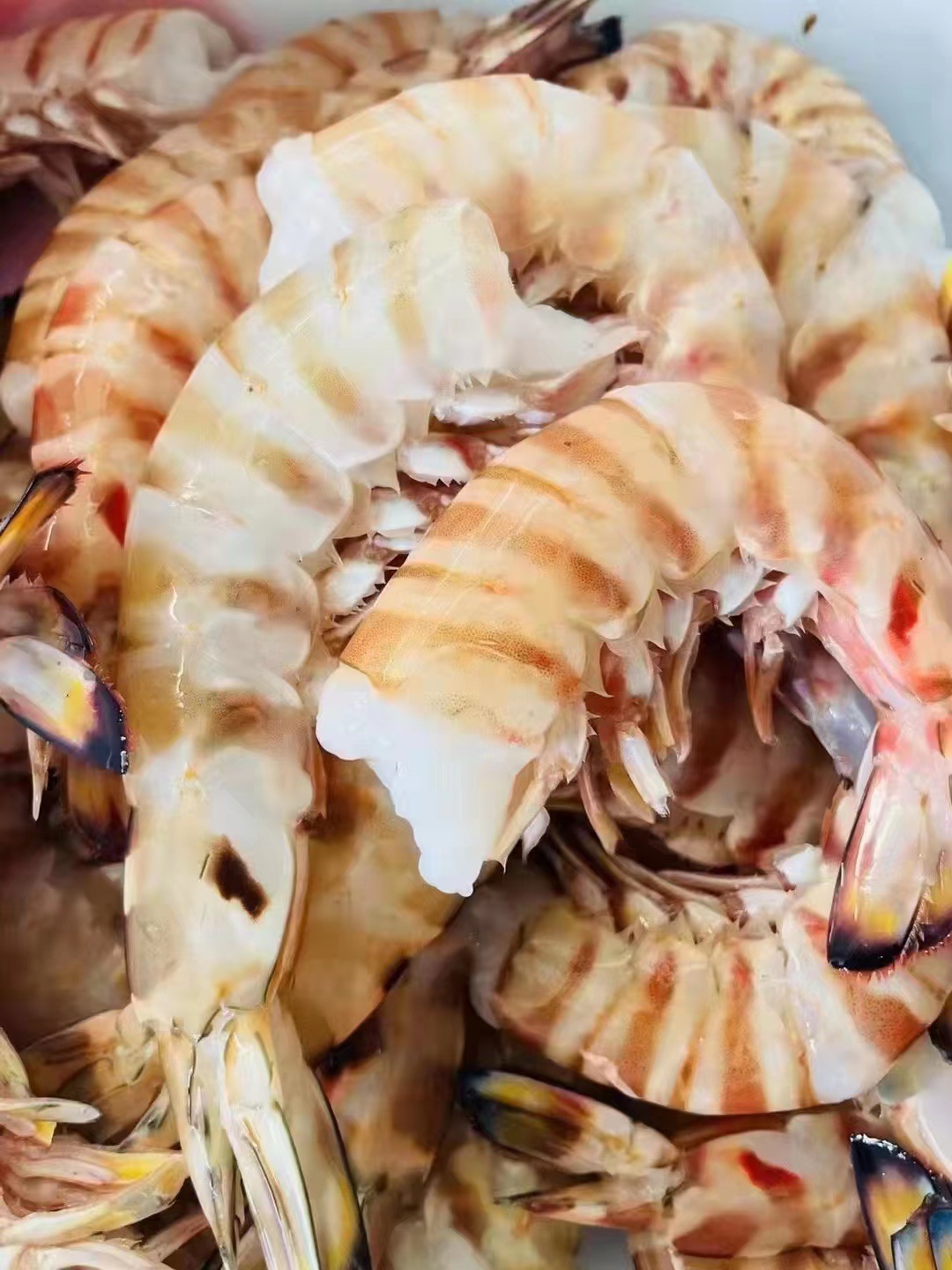 东山岛 冷冻斑节虾去头基围虾 九节虾竹节虾海捕大虾虾肉团购代发