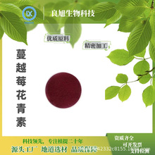 黑龙江野生蔓越莓果粉大兴安岭越橘粉原味红豆果粉100克纯粉包邮