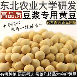 8%东北农家自种新大豆非转基因大小粒笨黄豆可发芽打豆浆黄豆批发绵阳