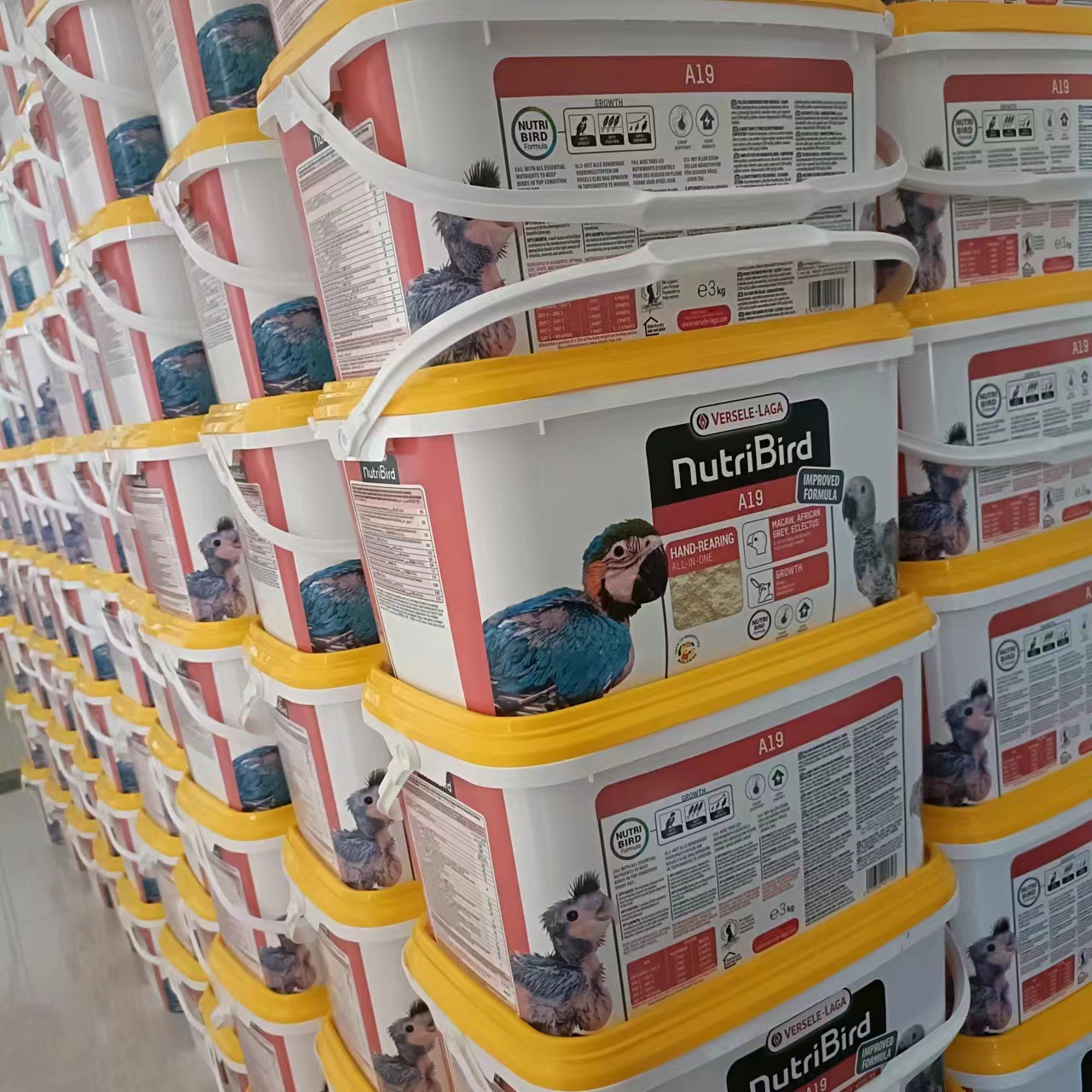 正品原装比利时凡赛尔a19鹦鹉奶粉高脂鹦鹉手养幼鸟雏鸟奶粉3公斤