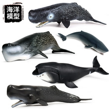 仿真海洋生物模型儿童早教认知玩具抹香鲸鲨鱼弓头鲸塑胶摆件手办