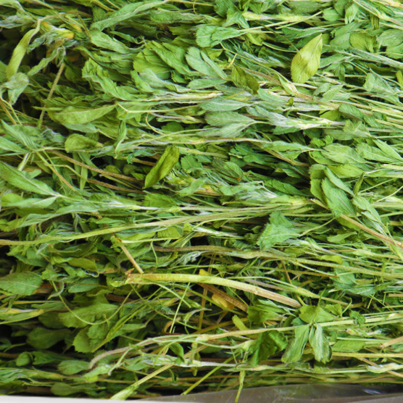 苜蓿草2024年新草 兔子龙猫牧草豚鼠饲料干草毛重1000克净重750克