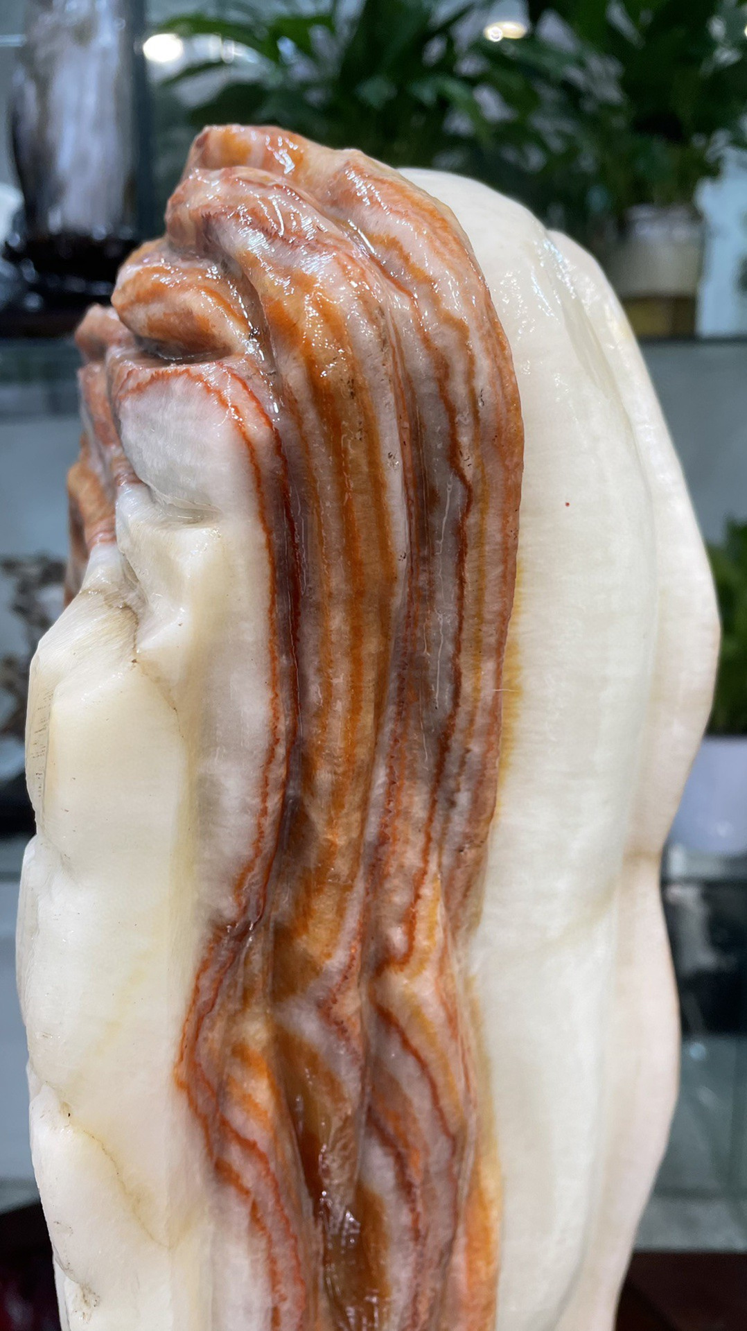 猪肉石五花肉原石摆件造型石奇石腊肉石招财风水石招财肉石29572