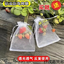 无花果葡萄水果蔬菜套袋尼龙网袋防虫防鸟吃套袋子草莓番茄网纱袋