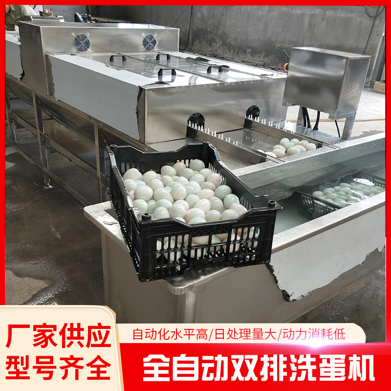 鸡蛋洗蛋机 单排鸭蛋洗蛋机 多排鸡蛋清洗机 蛋类清洗机-阿里巴巴
