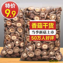 23年农家特产香菇干货500g冬菇蘑菇肉厚干榛蘑猴头菇鹿茸菇茶树菇