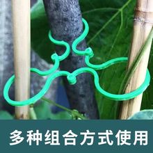 园艺8字扣多功能固种植藤蔓固植物爬藤捆绑支撑扎带工具