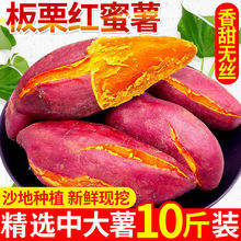红薯甜沙地新鲜黄心板栗薯番薯1/5/10斤糖心西瓜红蜜薯地瓜批发