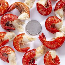 无冰衣龙虾尾冷冻鲜活小龙虾虾尾特大号虾球鲜冻批发商用生鲜整箱
