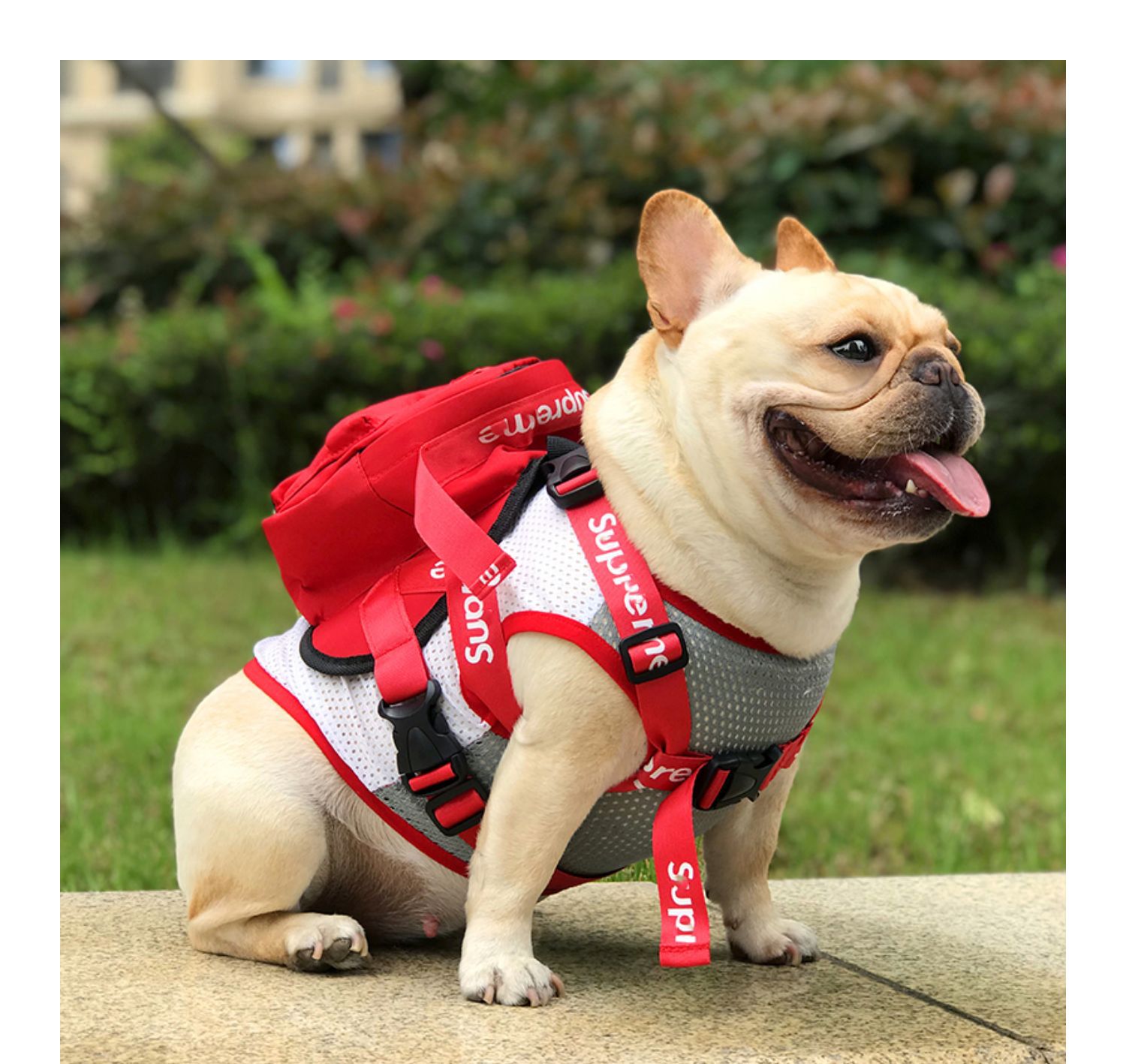 宠物潮牌狗狗背包外出双肩自背包泰迪法斗金毛雪纳瑞off牵引书包