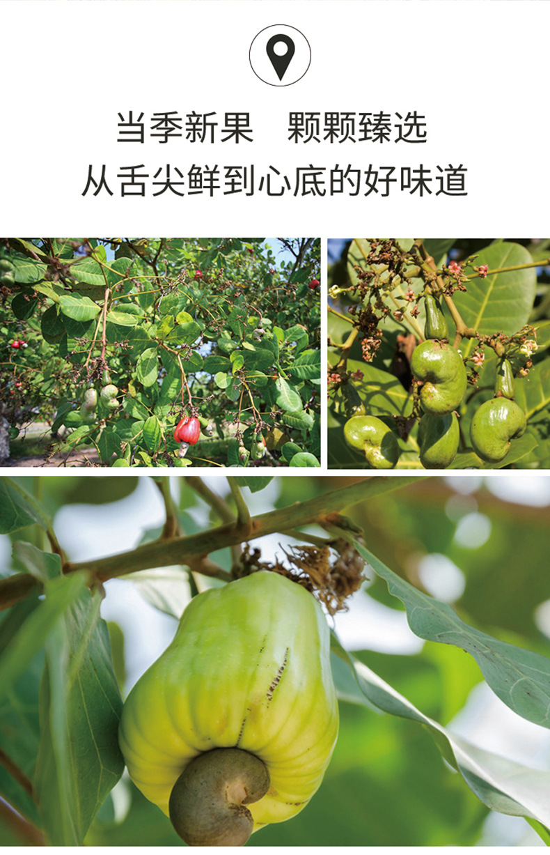 百草味炭烧腰果100g 箱规100袋