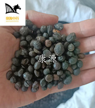 【马传银】批发供应淡豆豉 颗粒大粒粒饱满 优质货源跑量批发