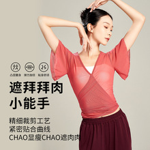 舞蹈服女现代2024夏季新款练功形体网纱中国古典跳舞成人短袖上衣