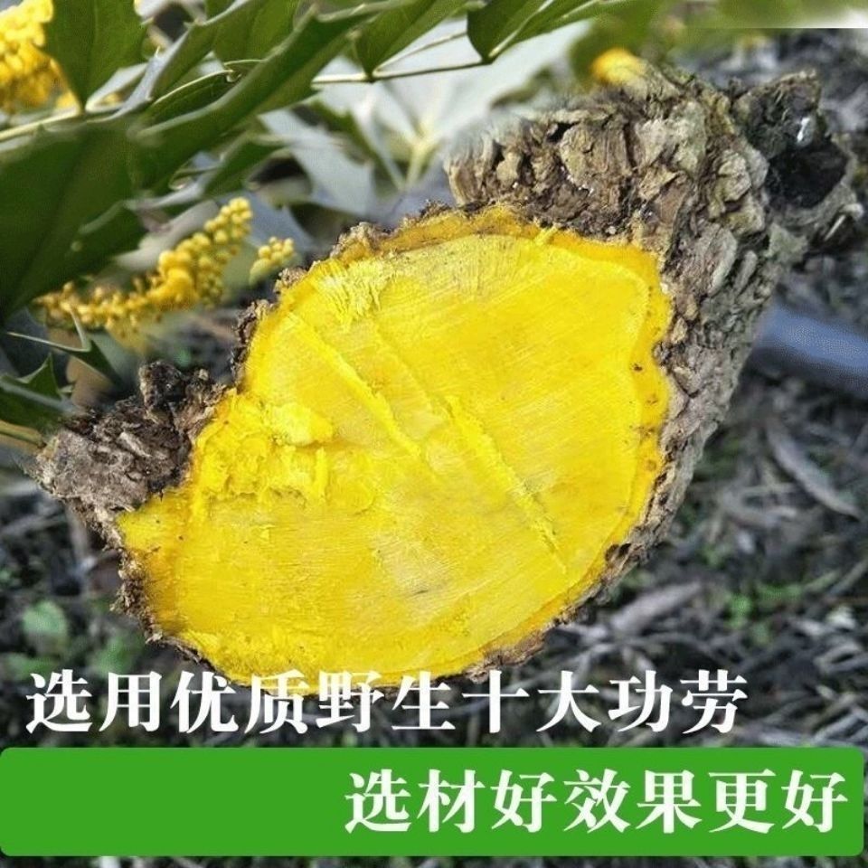十大功劳100g/500g土黄连黄藤土黄柏功劳木根真货好货-阿里巴巴