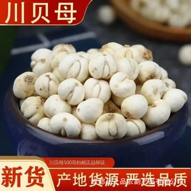 (可批发)中药材批发野生贝母藏贝母 川贝母 各种规格产地货源量