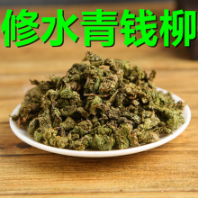 江西修水正宗高山老树青钱柳嫩芽原叶颗粒袋泡送礼金钱柳青钱柳茶