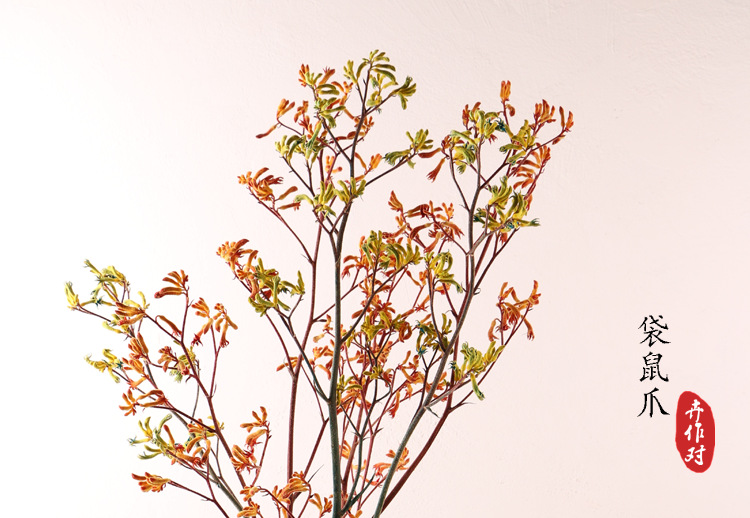 云南永生袋鼠爪批发干花保鲜花束情人节礼物配材家居民宿装饰插花