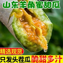 山东潍坊羊角蜜甜瓜脆甜无渣香甜多汁礼盒装批发一件代发包邮