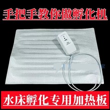 @孵化加热板电热毯自制水床孵化机配件大全12V220V水床防水加热板