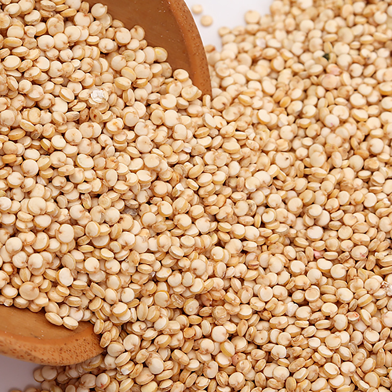 玻利维亚白藜麦胚芽藜麦米杂粮原材料藜麦胚芽白藜麦高原黎麦米