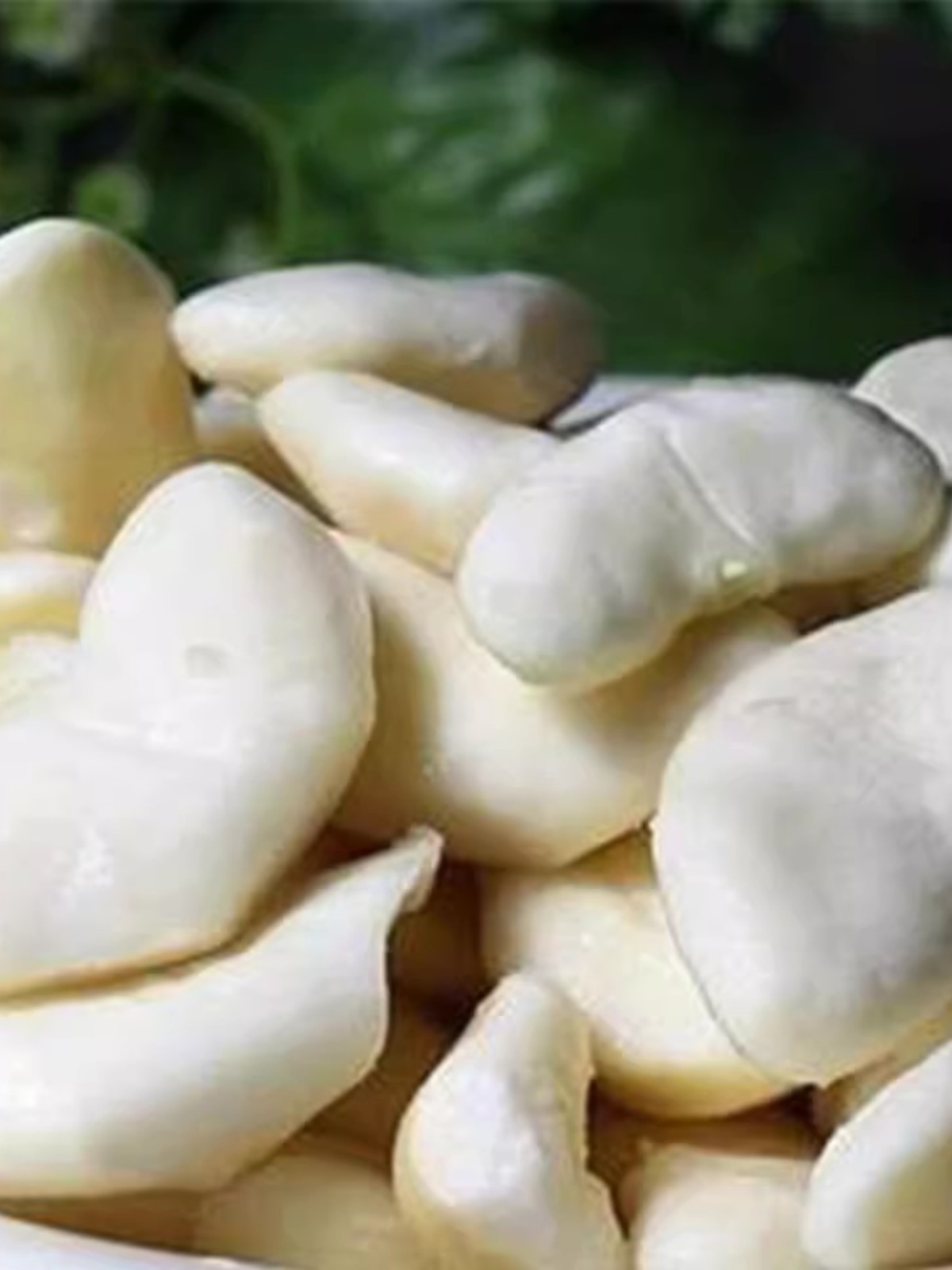 洪湖菱角新鲜去壳老菱角米青菱角真空冷冻蔬菜湖北特产