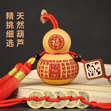 门对门五帝钱天然葫芦挂件客厅吉祥结厕所卧室门口小葫芦门对窗户