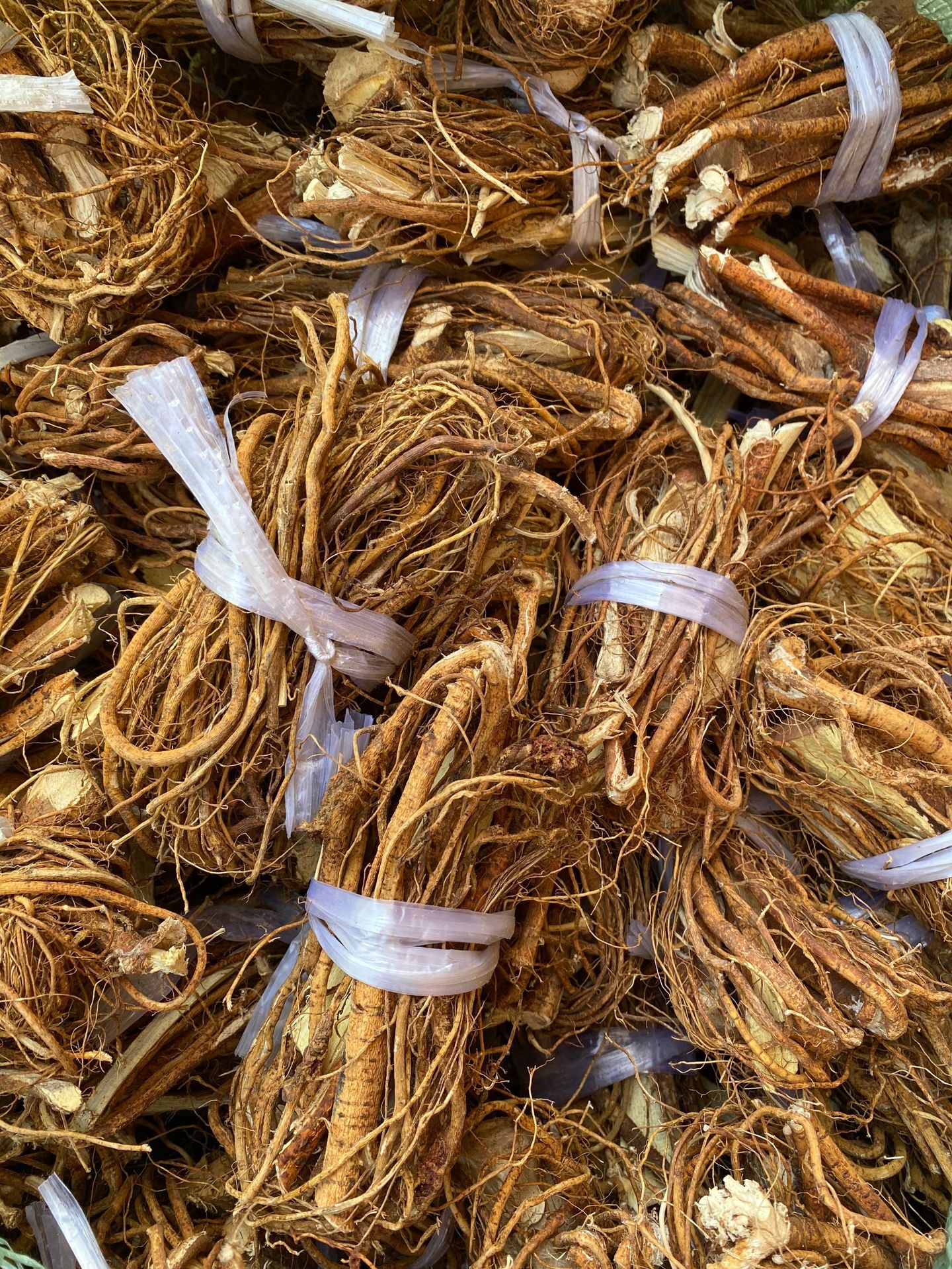 根五指毛桃-根五指毛桃厂家,品牌,图片,热帖-阿里巴巴