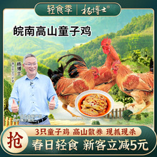 【食安放心】孩子爱吃杨博士土鸡皖南高山散养童子鸡吃鲜嫩红富士