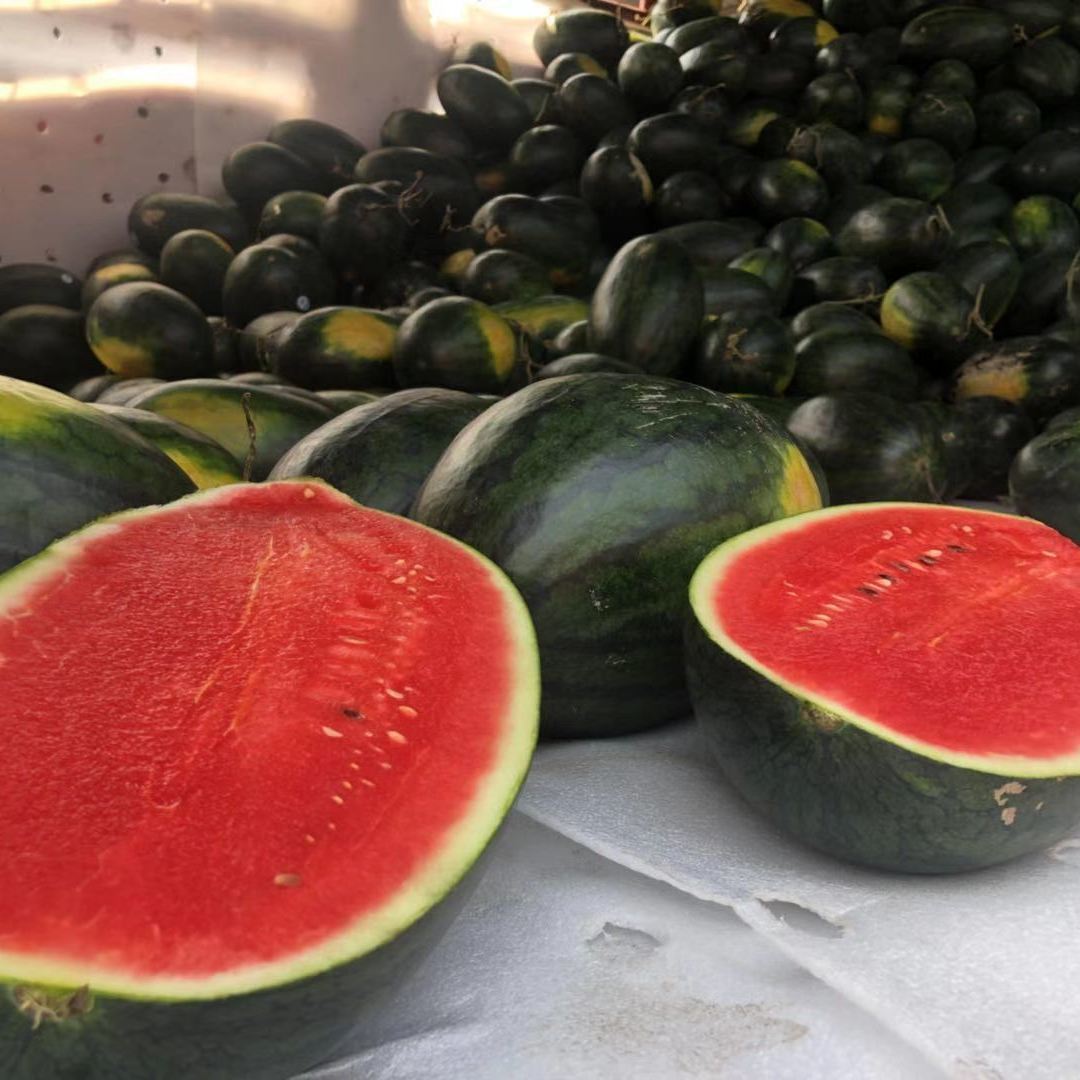 特价应季越南黑美人 山地西瓜 包沙包甜黑籽新鲜热带水果批发