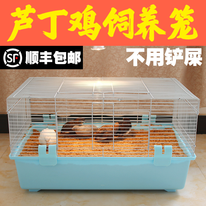 芦丁鸡专用养殖笼家用发酵床笼子饲养箱养鸡仓鼠鹌鹑60基础笼